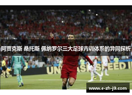 阿贾克斯 桑托斯 佩纳罗尔三大足球青训体系的异同探析 阿贾克斯 桑托斯 佩纳罗尔三大足球青训体系的异同探析