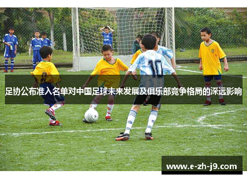 足协公布准入名单对中国足球未来发展及俱乐部竞争格局的深远影响