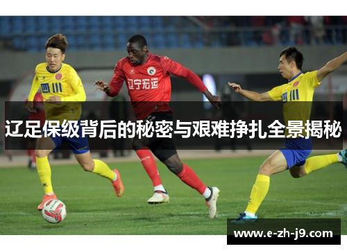 辽足保级背后的秘密与艰难挣扎全景揭秘 辽足保级背后的秘密与艰难挣扎全景揭秘